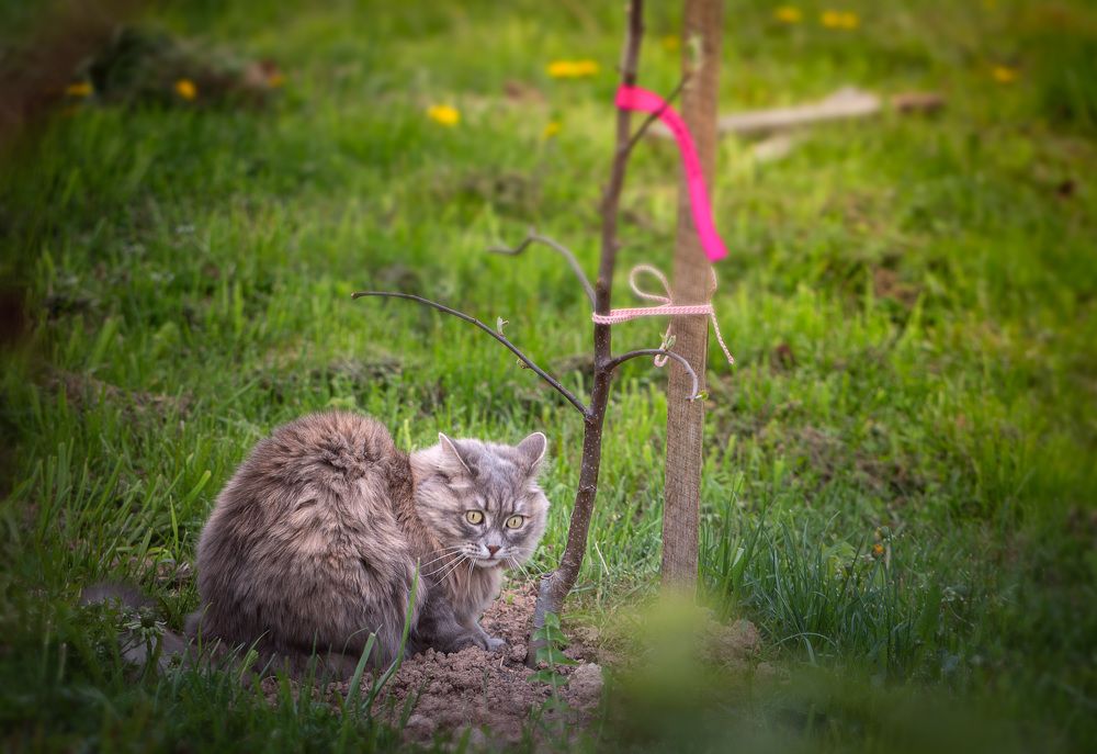 Преступление и наказание...
