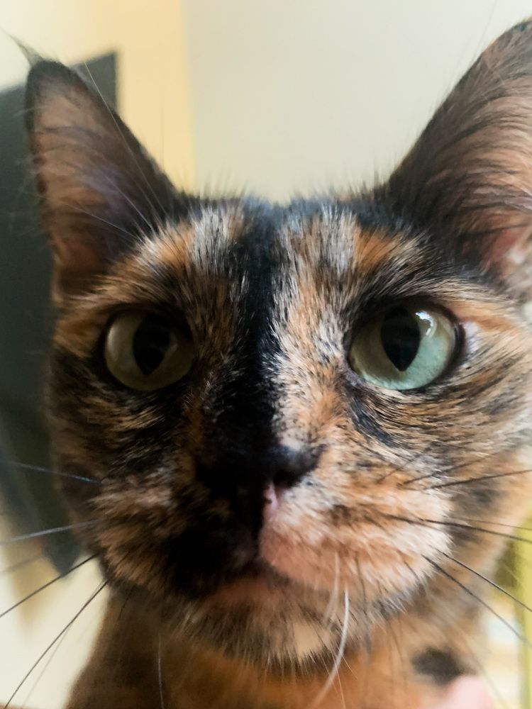 Photograph by Валерия Спирина