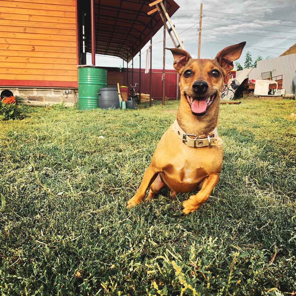 Photograph by Валерия Спирина