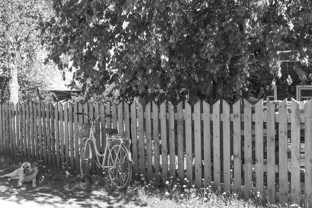 Photograph by Дарья