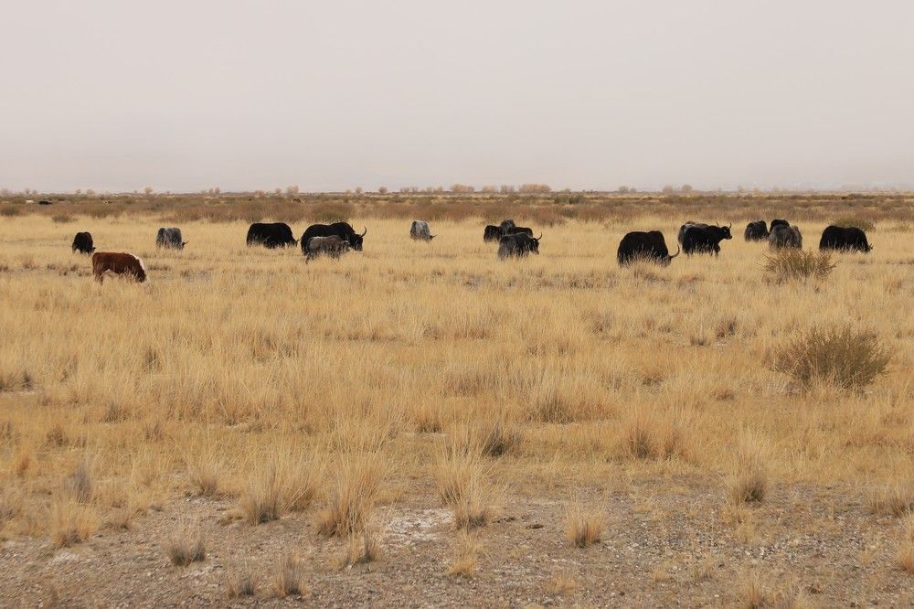 Photograph by Оксана Соколова