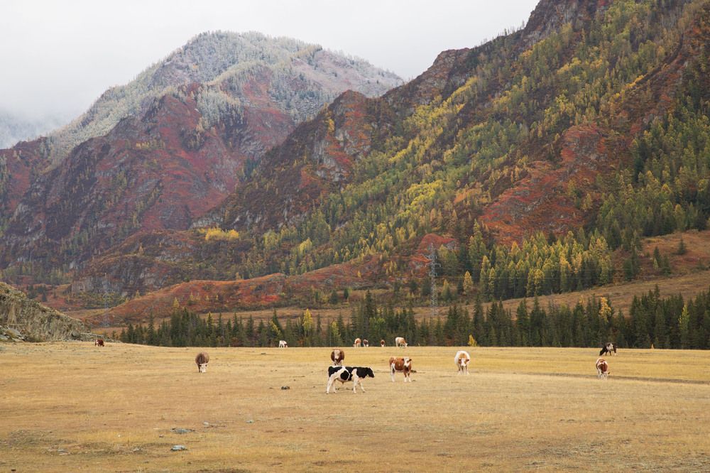 Photograph by Оксана Соколова