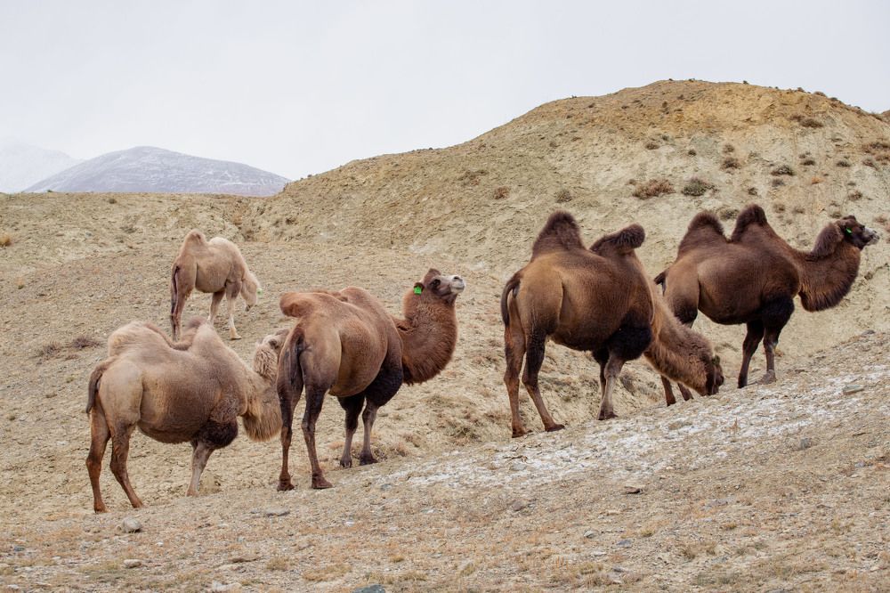 Photograph by Оксана Соколова