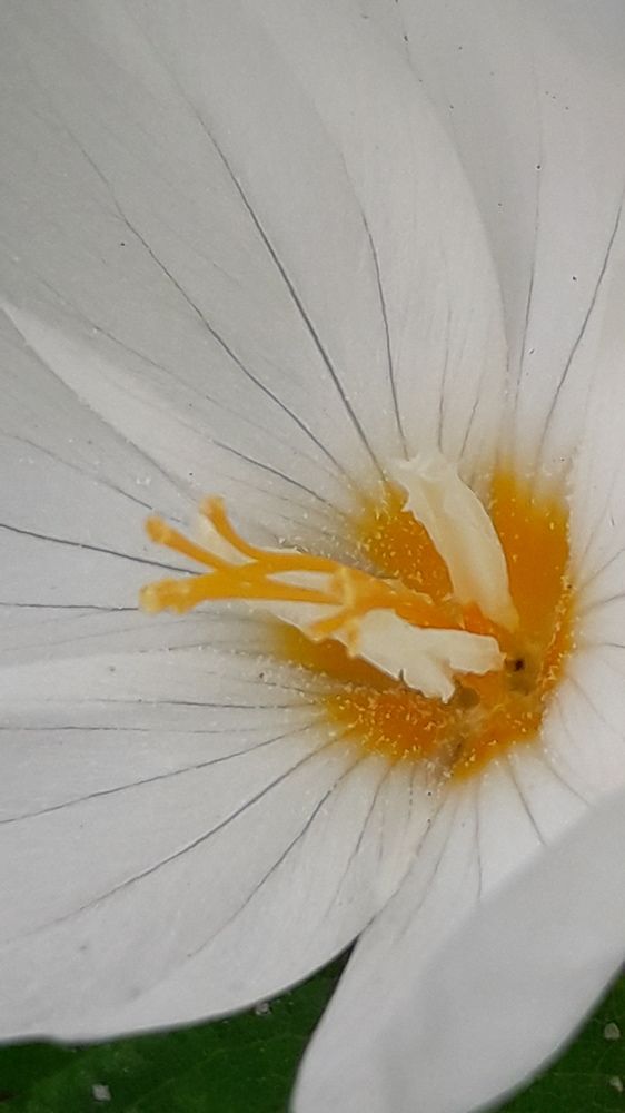 Photograph by Елена Алешкевич