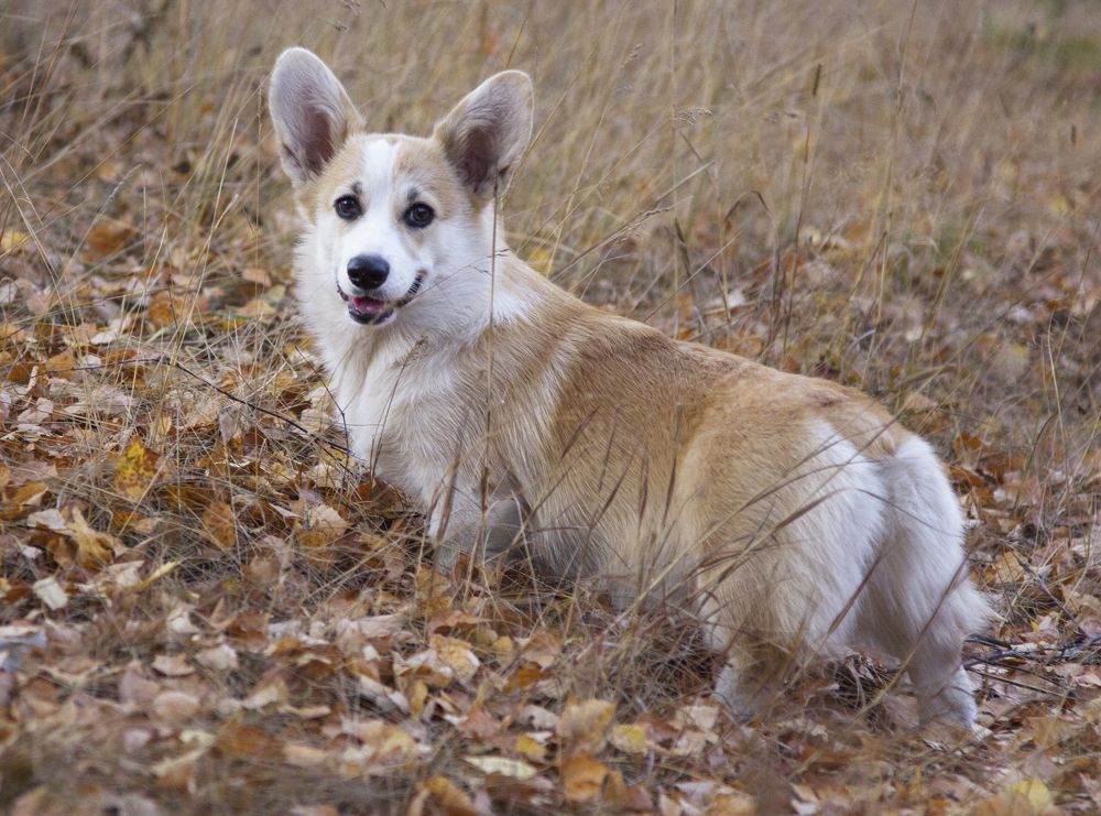 Photograph by Наталья Кирина