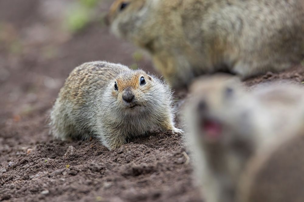 Photograph by Настя Рыж