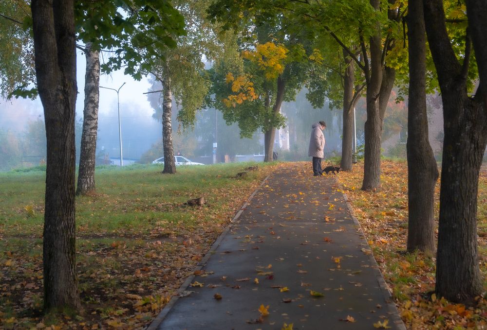 Фотография автора Александр Дюльгер