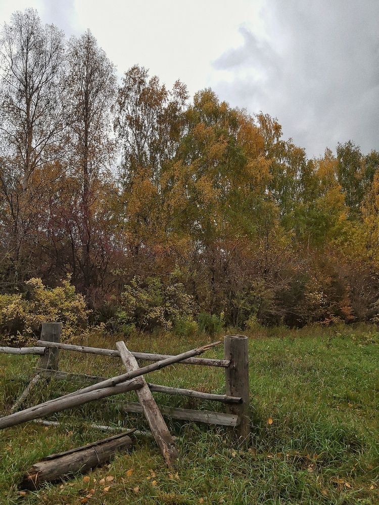 Photograph by Лилия Билалова