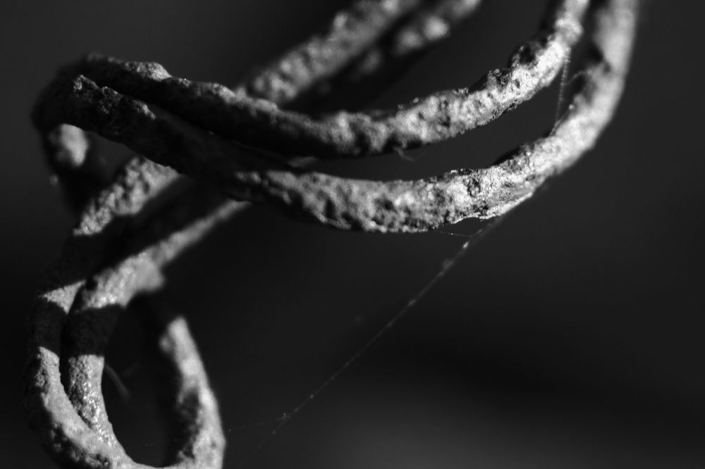 Photograph by Николай Косцов