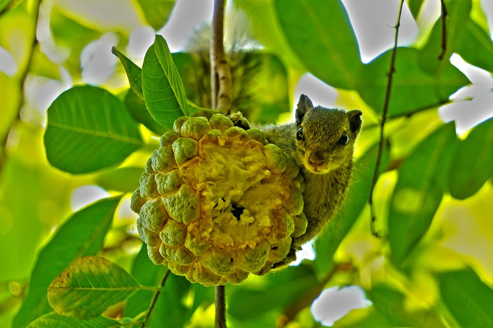 Photograph by Jignesh Chavda