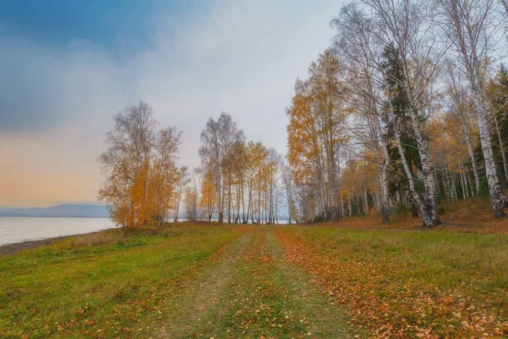 Photograph by Дмитрий Шадрин