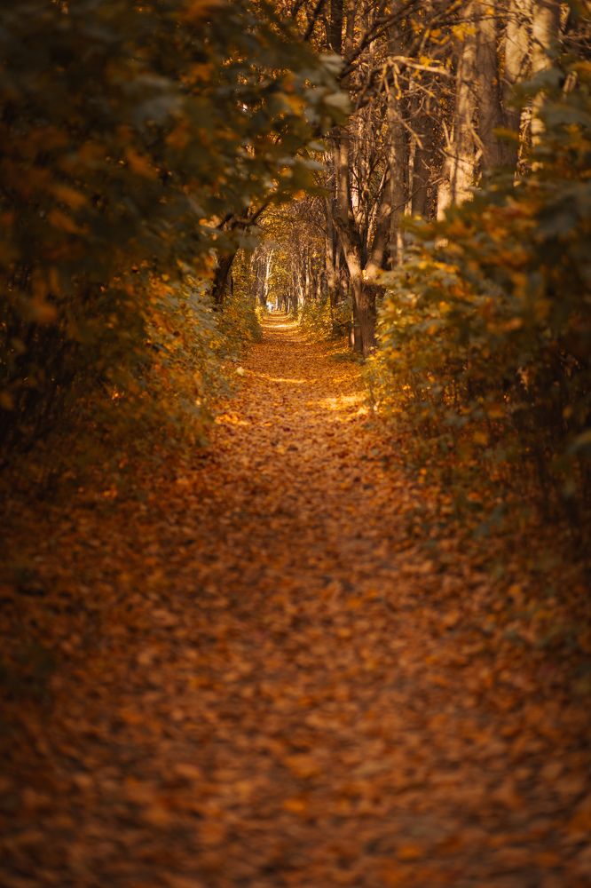 Photograph by Мария Кислякова