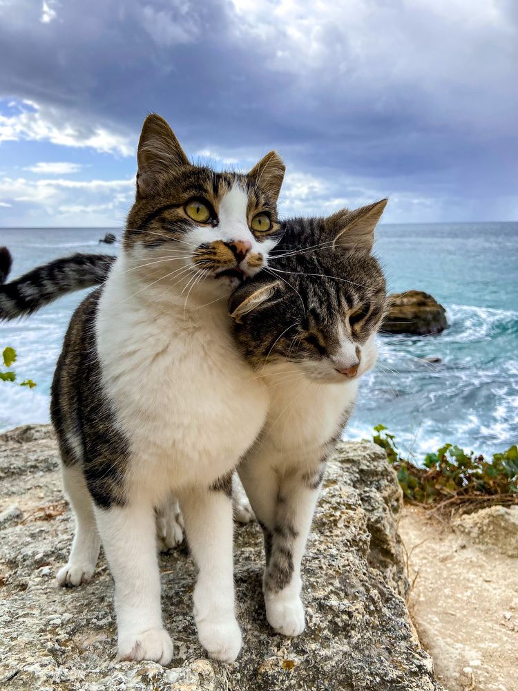 Photograph by Елизавета Терентьева