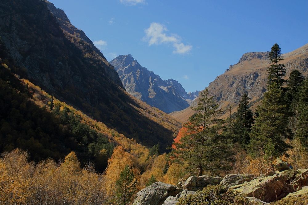 Photograph by Татьяна Долгушева