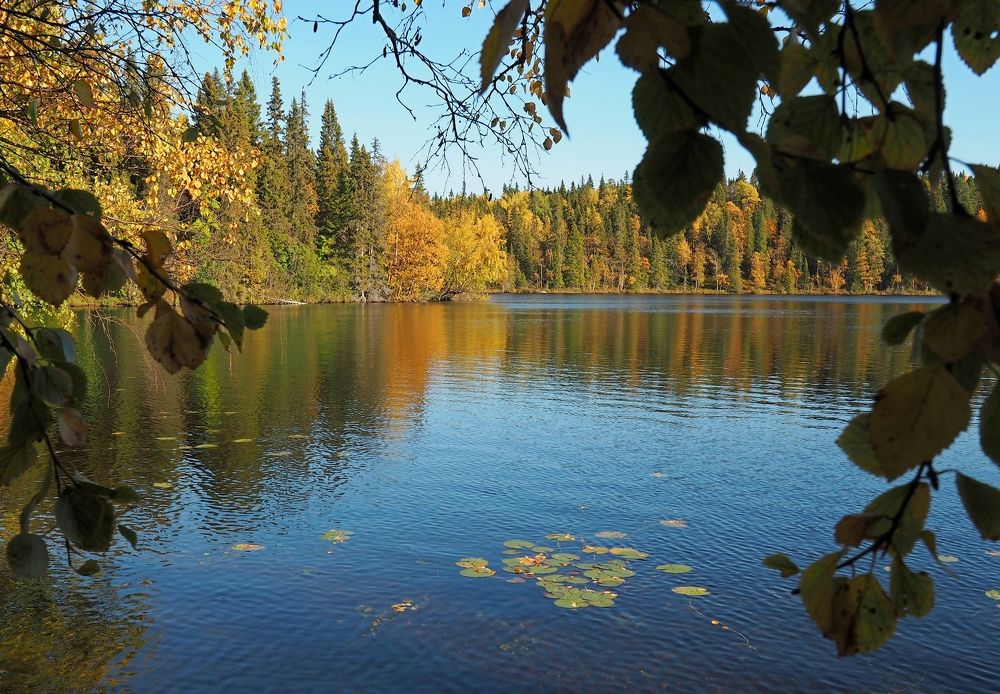 Photograph by Евгений Яковлев