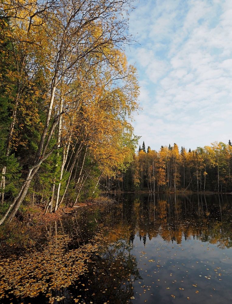 Photograph by Евгений Яковлев