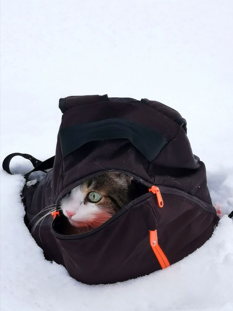 Photograph by Наталия Питолина