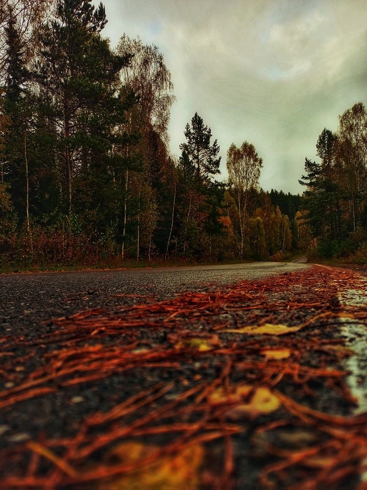 Photograph by Ольга Юминова