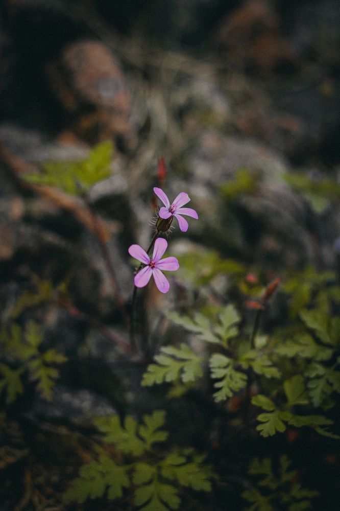 Photograph by Света