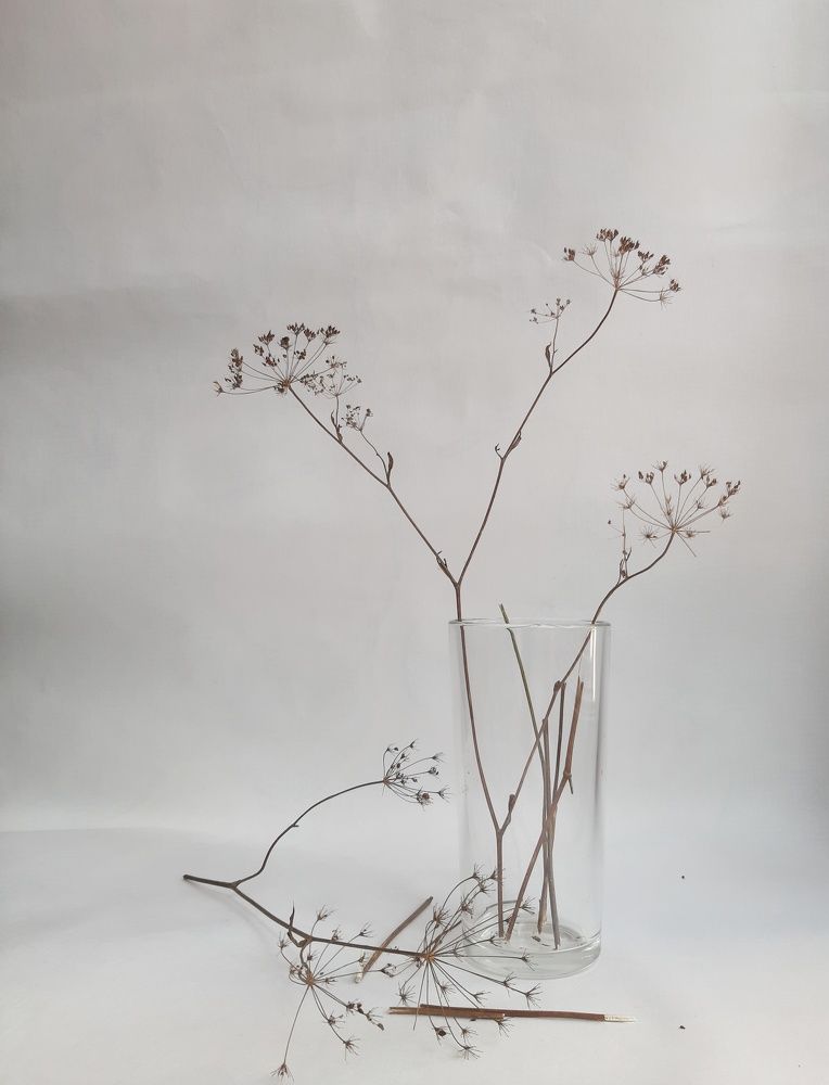 Photograph by Алия Латыйпова