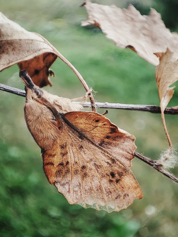 Photograph by Алина Эбель
