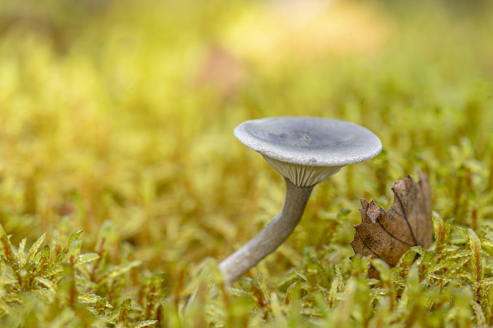 Photograph by Юрий Чернов