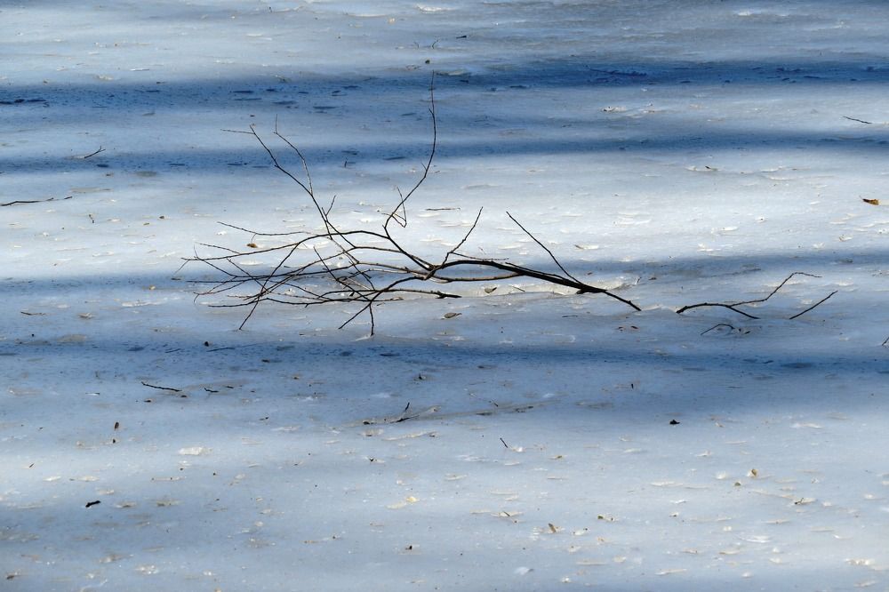 Photograph by Елена Казарина