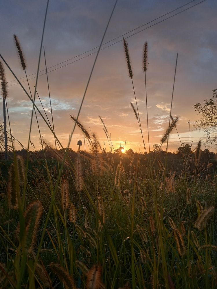 Photograph by Marijana Dragosavljevic