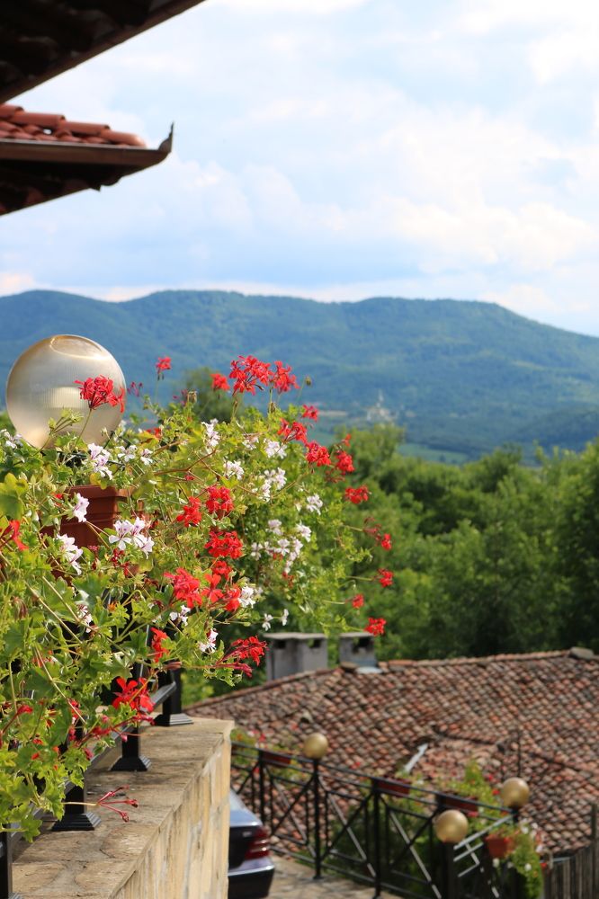 Photograph by Greta Jordanova