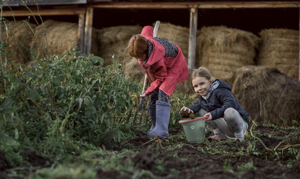 Photograph by Лидия Долгова