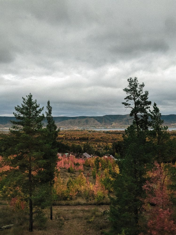 Photo #9662260