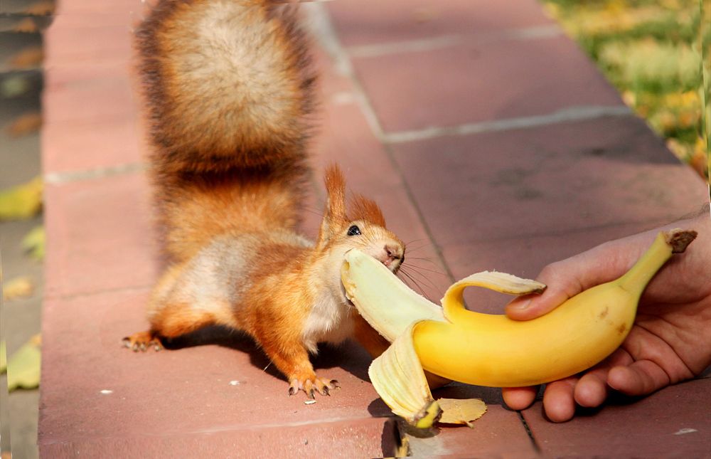 Photograph by Шруб (Беляева) Татьяна