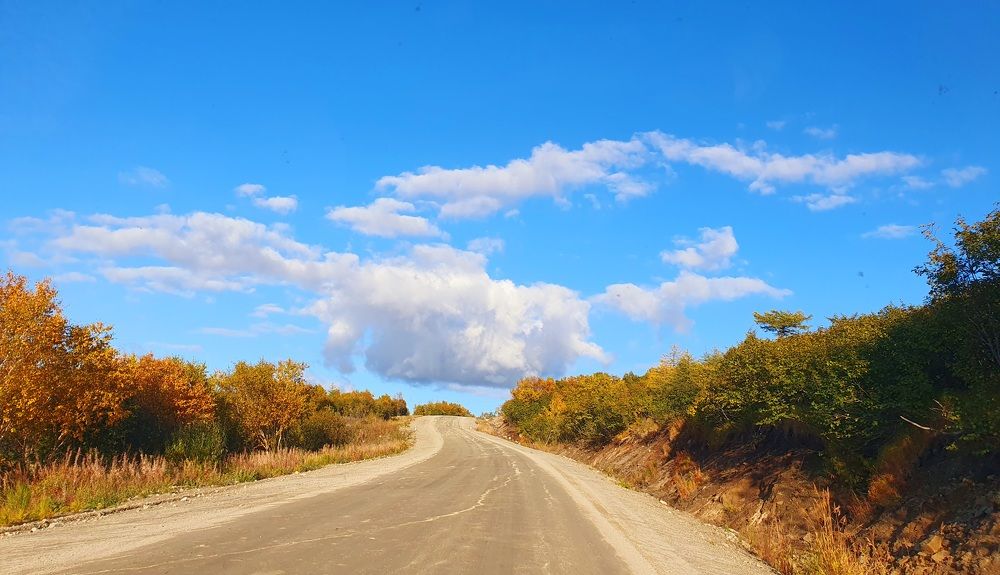 Photograph by Валерия Столбова