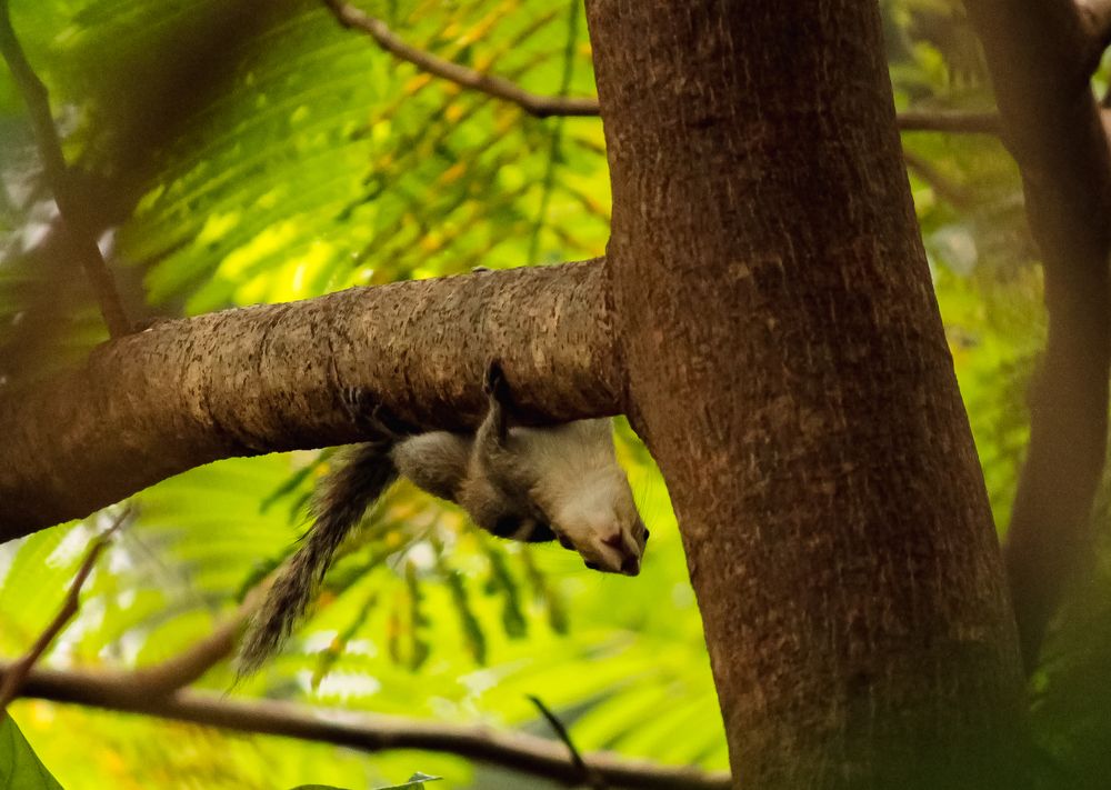 Photograph by Kapilesh Gujarathi