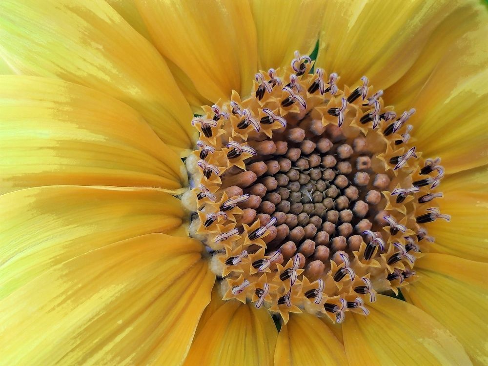 Фотография автора Ольга Кунакова