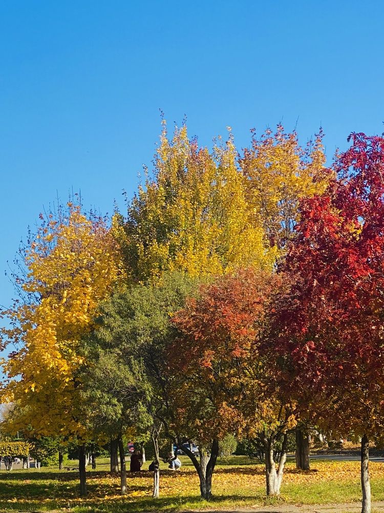 Фотография автора ГУЗАЛИЯ ГАНИЕВА