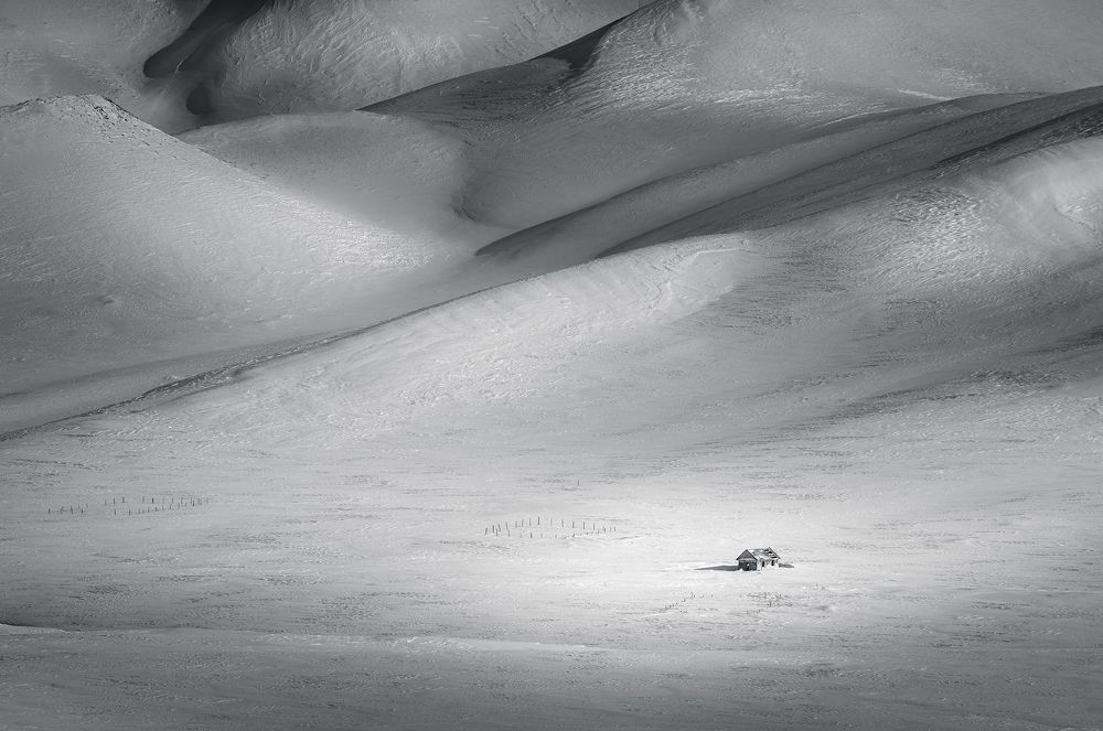 Photograph by Бирюкова Татьяна