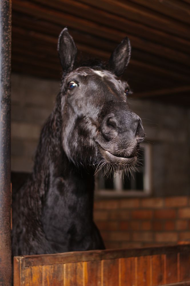 Фотография автора Марина Красовская