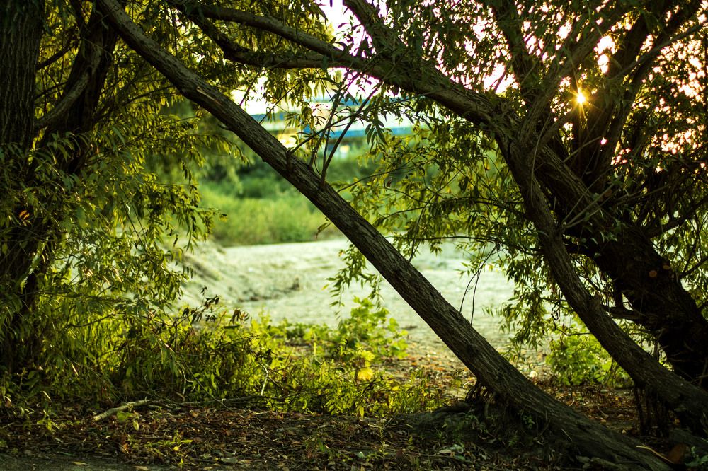 Photograph by Greta Jordanova