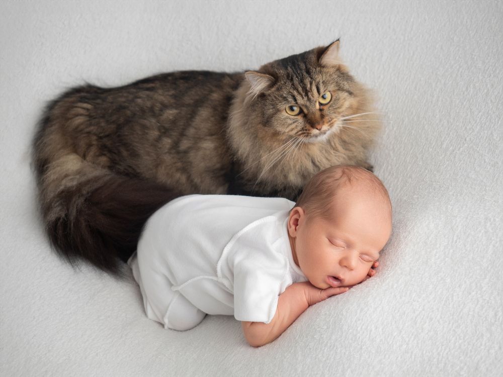 Photograph by Алена Горшкова