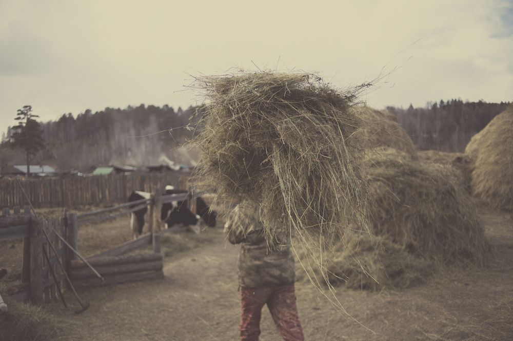 Photograph by Александра Белокоровкина