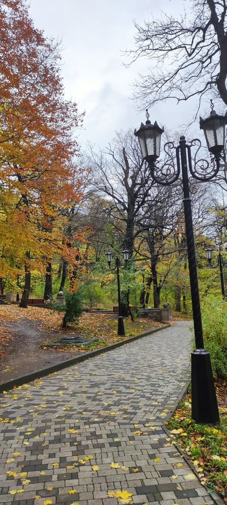 Photograph by Надежда Образцова
