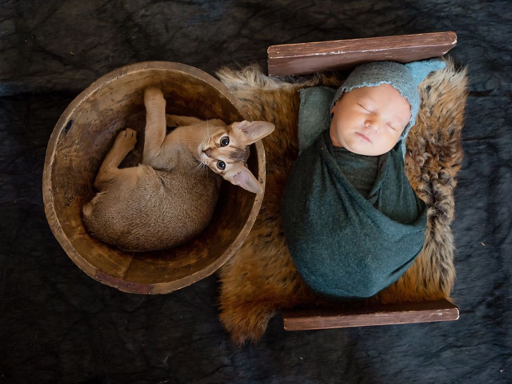 Photograph by Алена Горшкова