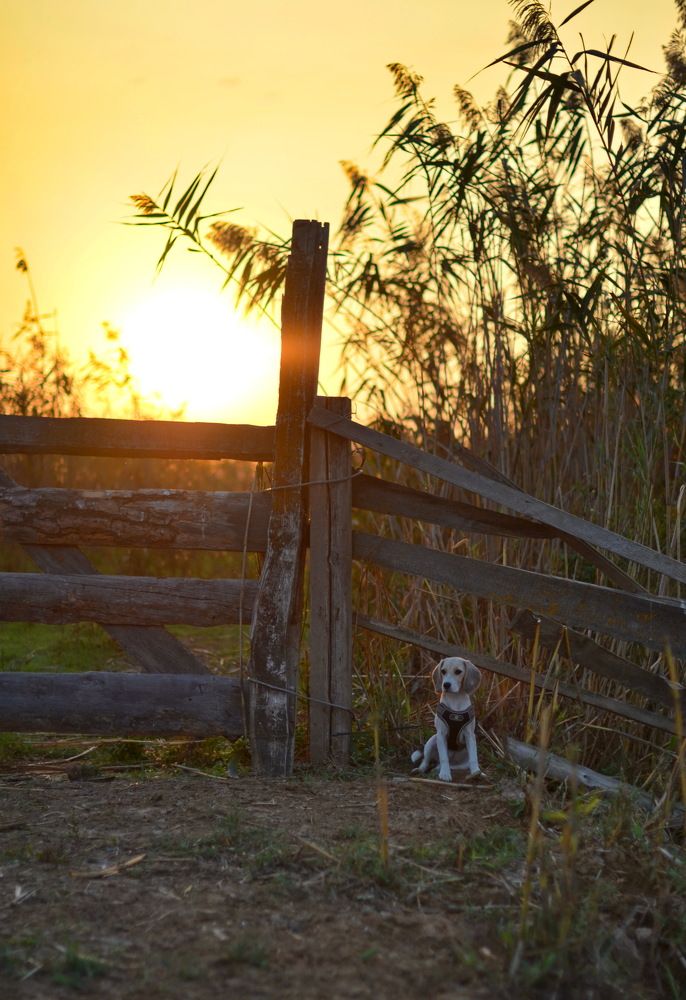 Photograph by Мария Воронцова