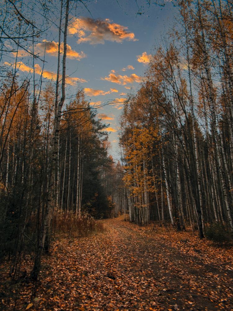 Photograph by Любовь Бусова