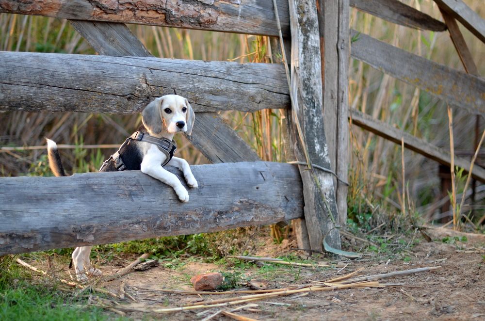 Photograph by Мария Воронцова