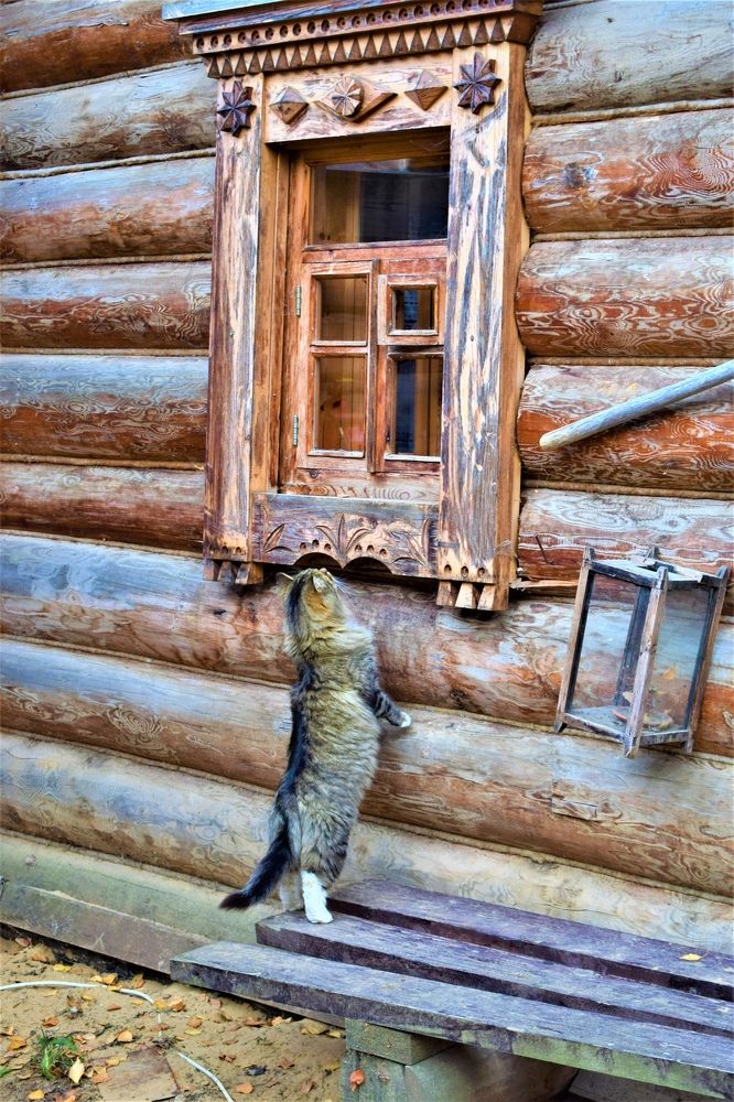 В ожидании суженой