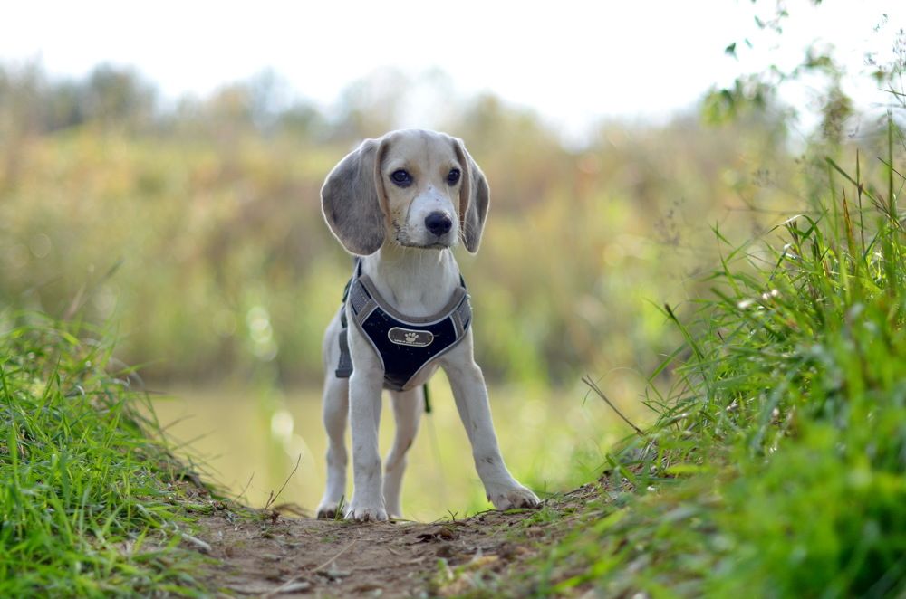 Photograph by Мария Воронцова