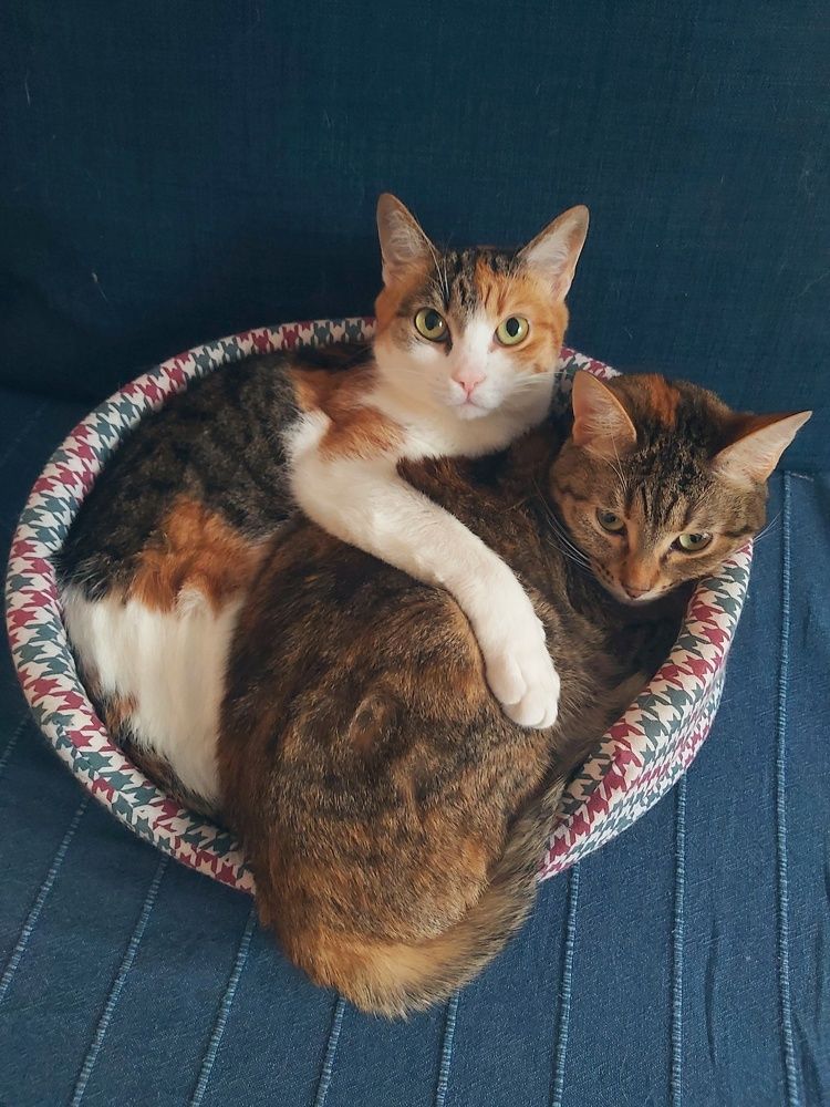 Photograph by Олег Лебедев