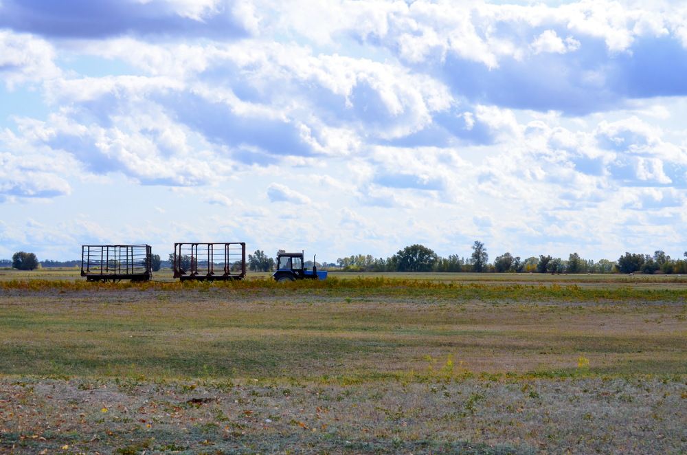 Photograph by Мария Воронцова